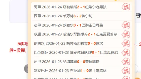新加坡青少年足球联赛盛大启幕，岛内赛场激战6000余精英足球健儿